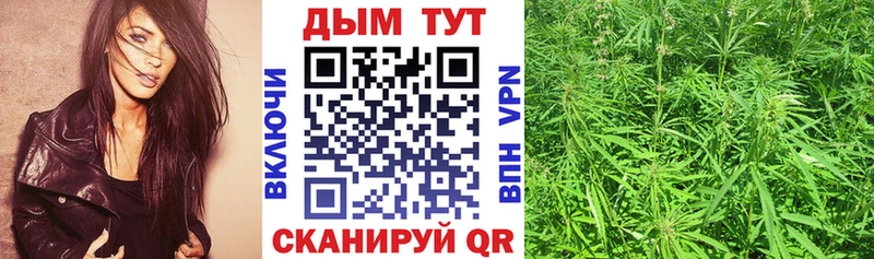 Канабис семена  Купить закладки  Верхняя Салда 